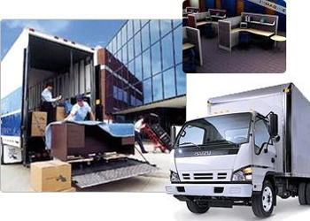 professional local movers